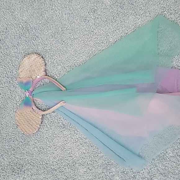 Disney Other - Disney ears